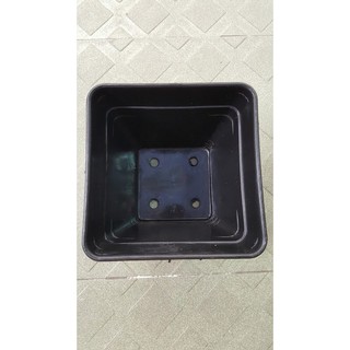Chậu vuông 14x12 đen (Set 100 cái)