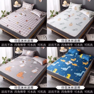 Chiếu Điều Hoà Kèm Gối ( có ảnh thật )