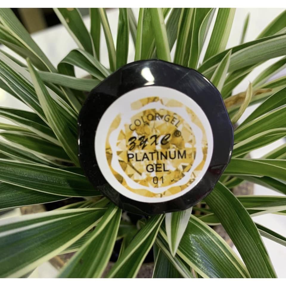 Gel Nhũ Platium Cao Cấp Huaxi Vẽ Viên Móng Trang Trí móng 7ml