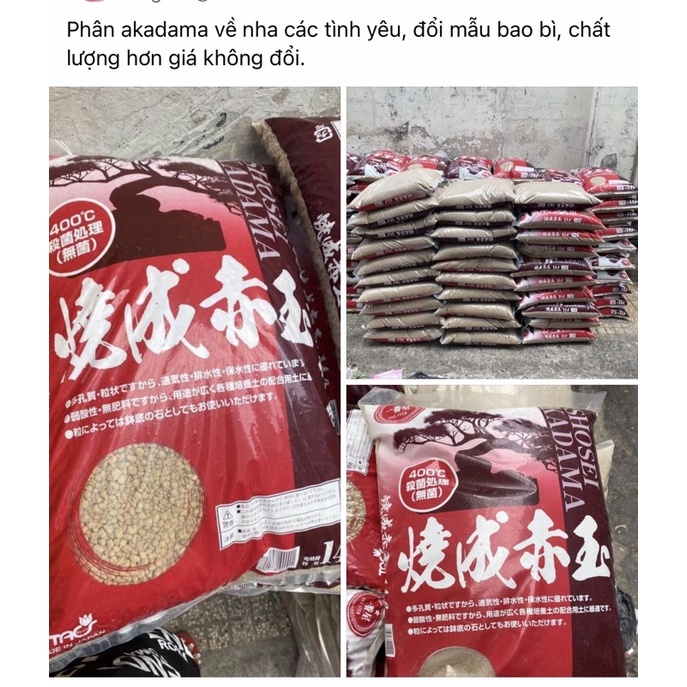 Đất Nung Akadama - Đất Chuyên Trồng Sen Đá, Bonsai, Hồ Cá+Thuỷ Sinh