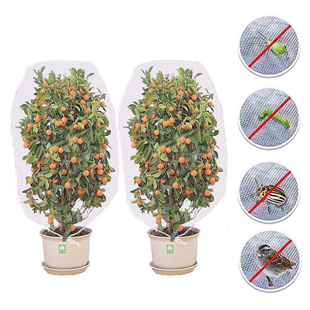 Lưới Bảo Vệ Cây Trồng Chống Chim Phá Hoại Tiện Dụng