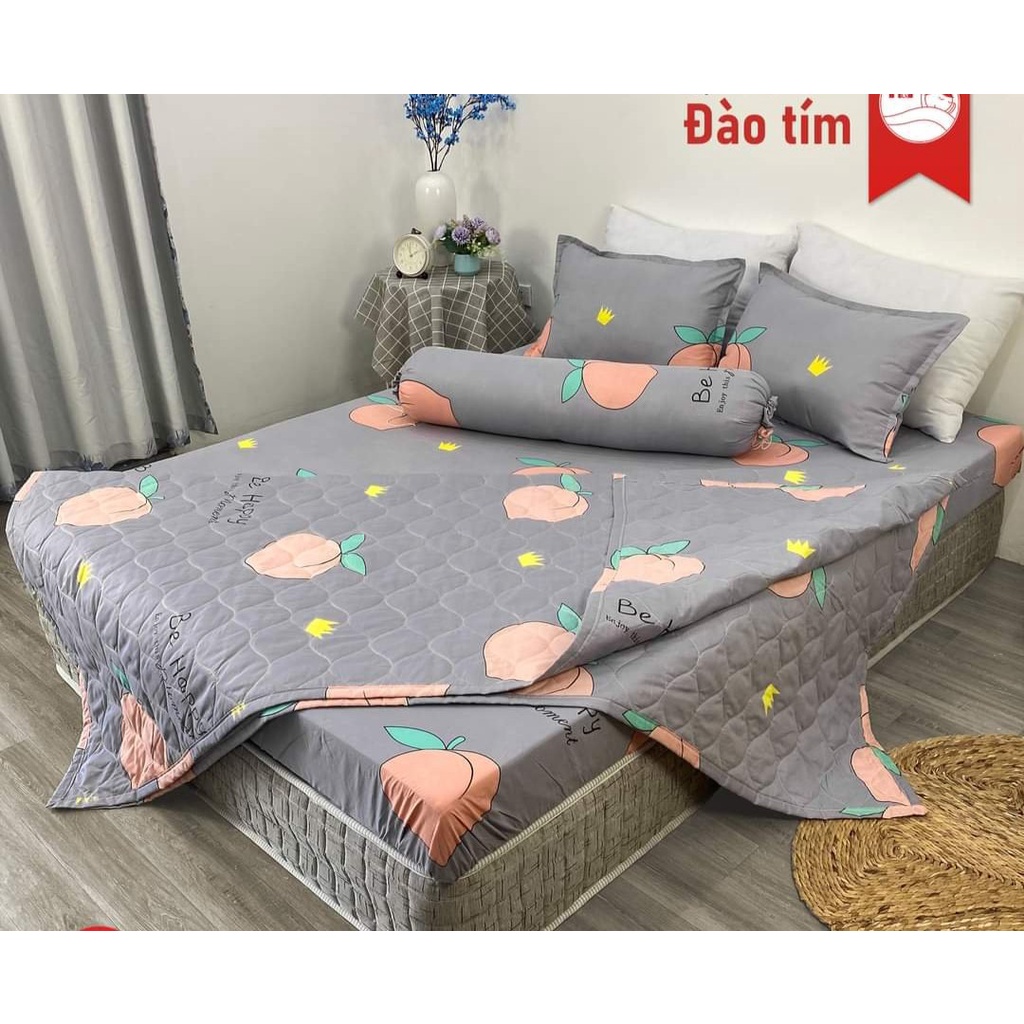 Bộ chăn hè ga gối kèm vỏ gối ôm 5 món 1m2x2m-có chọn mẫu