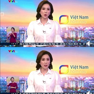 Sơ mi cotton lụa tay bom - HBSM716