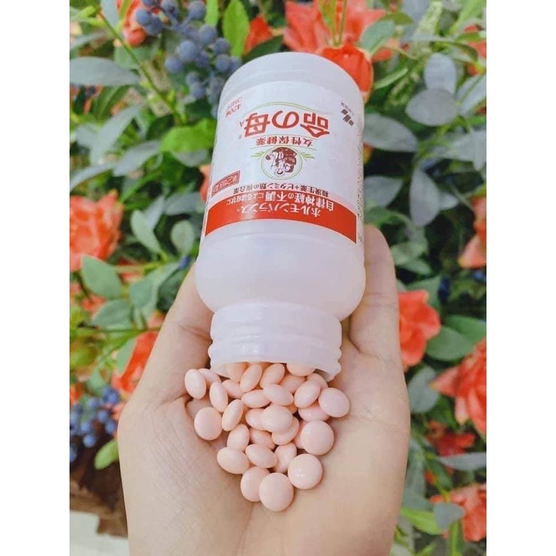 Hộp tiền mãn kinh Kobayashi Nhật Bản 840v