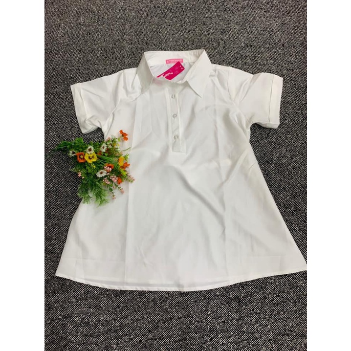 [SIZE 40-80KG] Áo bầu sơ mi màu trắng công sở lịch sự vải lụa mềm mát giá rẻ tphcm kiểu dáng dễ thương fom A gọn gàng