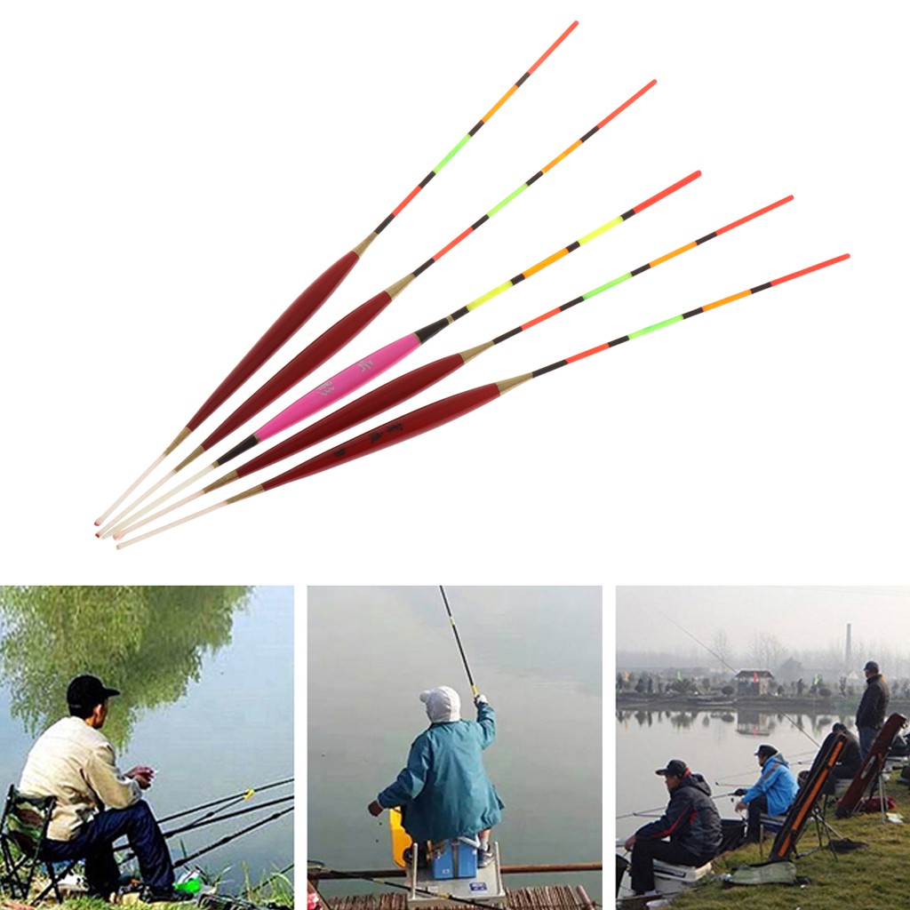 Bộ 5 phao câu cá phát sáng trong bóng tối