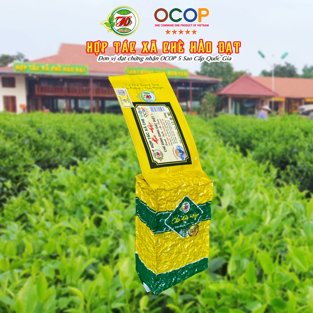 Chè Thái Nguyên Tân Cương HẢO ĐẠT Đinh Đặc Biệt 1