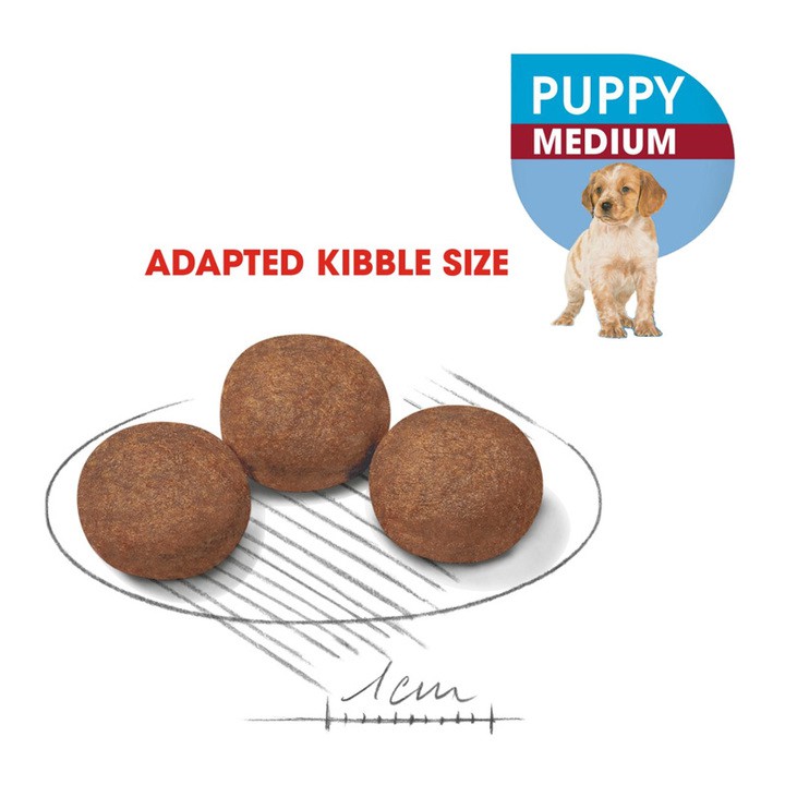 Thức ăn cho chó con dưới 10 tháng, khi trưởng thành trọng lượng 11-25kg Royal- canin medium puppy 1kg(giao hàng nhanh)