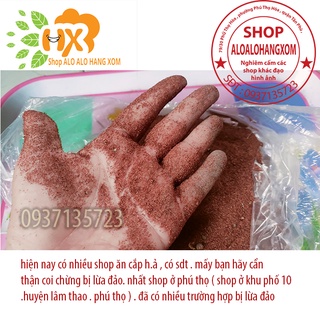 hạt giống cây tràm úc -500 gram