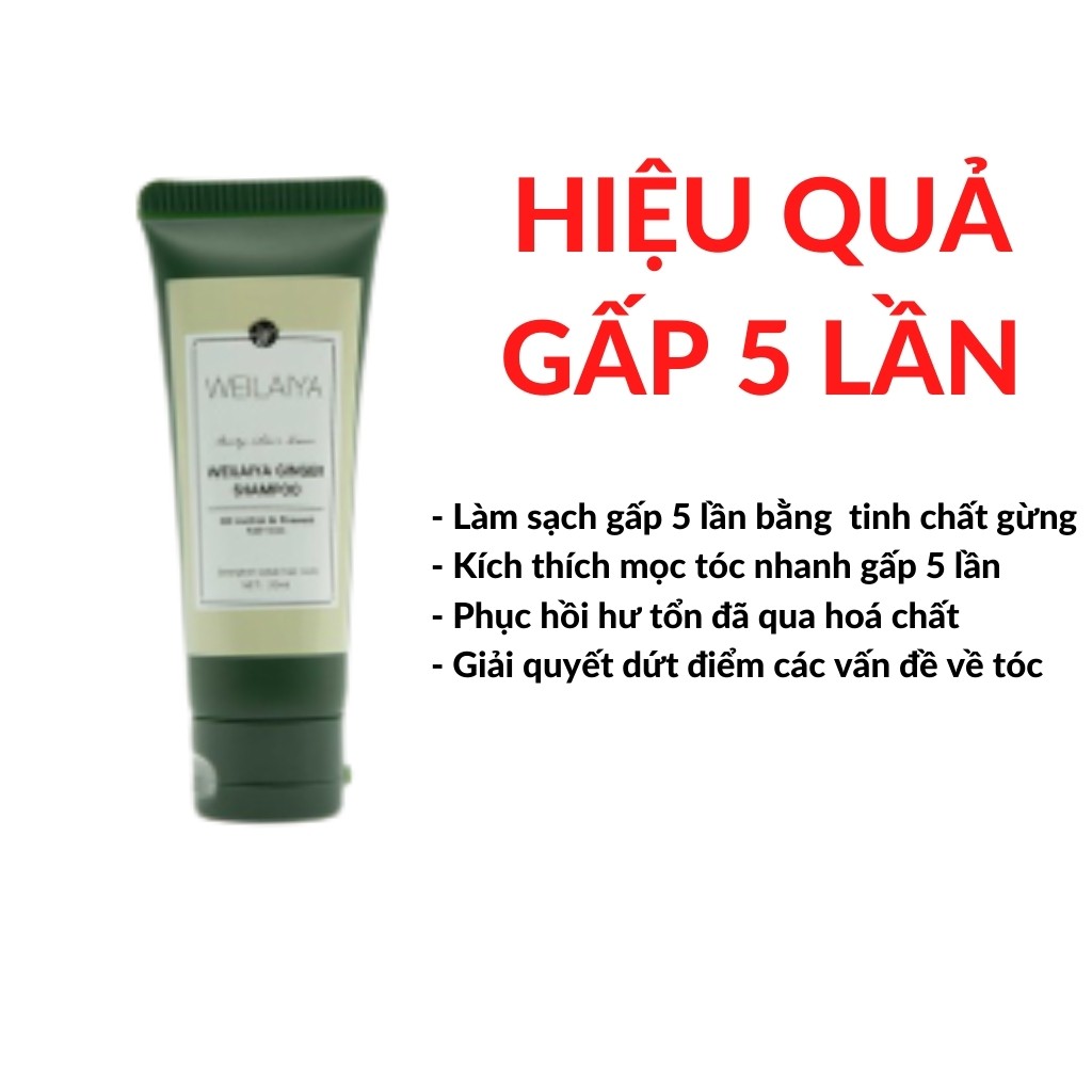 Cặp Dầu GộI Xả, Dầu Gội Kích Thích Mọc Tóc Dài Xả Gừng Weilaiya Mini 20ml - Habala Shop