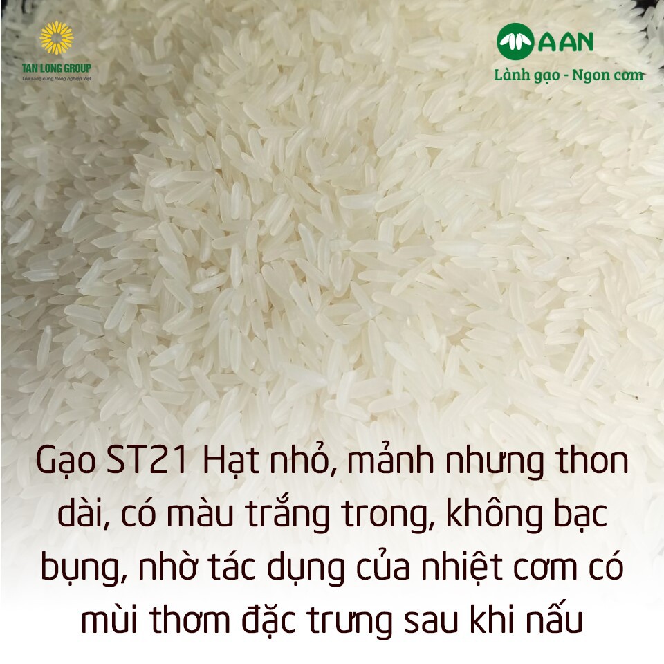 Gạo ST21 dẻo ngọt thơm cơm chính hãng A An đặc sản Sóc Trăng 5kg