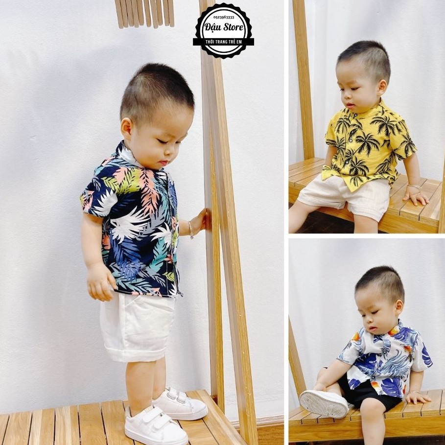 Bộ Đũi Đi Biển, Đi Chơi Cho Bé Trai Chất Liệu Đũi Nhật Siêu Mát Từ 8-21Kg Mã DB001