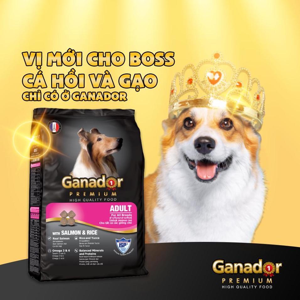 Thức Ăn Cho Chó - Hạt GANADOR chó con / chó lớn 400g