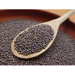 Hạt Giống Rau Cải Ngọt(Gói 20 g )Dễ Trồng &amp;Năng Suất Cao-Tổng kho hạt giống giá rẻ