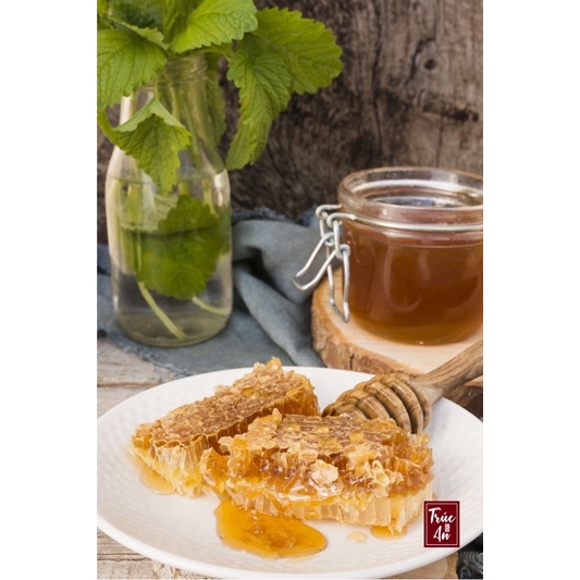 [HỎA TỐC] Mật ong hoa cà phê nguyên chất và hảo hạng, 100% từ thiên nhiên thơm ngon bổ dưỡng tuyệt vời cho sức khỏe