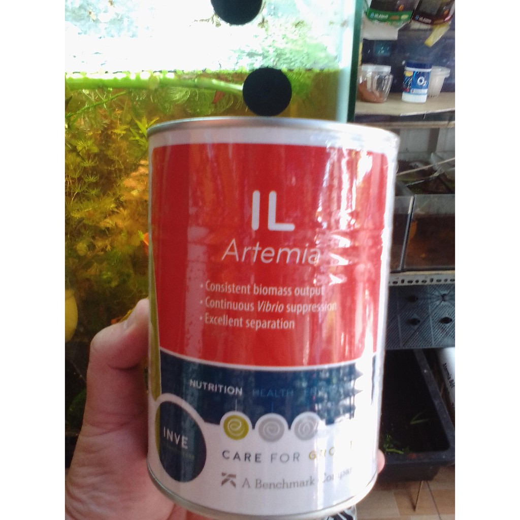 Trứng Artemia IL Thái 50g - Atermia loại ấp nở tặng trử 1.5ml-134