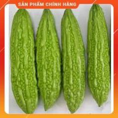 HẠT GIỐNG KHỔ QUA- MƯỚP ĐẮNG F1