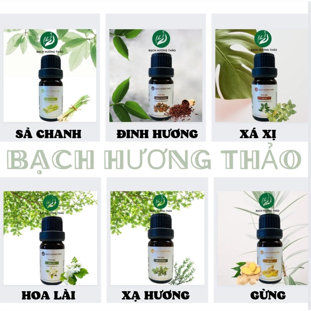 TINH DẦU HƯƠNG THẢO - ROSEMARY ESSENTIAL OIL  / DÙNG CHO SPA, XÔNG PHÒNG, LÀM XÀ PHÒNG, HANDMADE SOAP | Bạch Hương Thảo