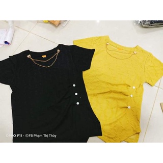 Áo kiểu chất bo dip