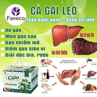 Cao Cà Gai Leo Cato Fanmec - Hỗ trợ gan Mát Gan Thải Độc Thanh Nhiệt