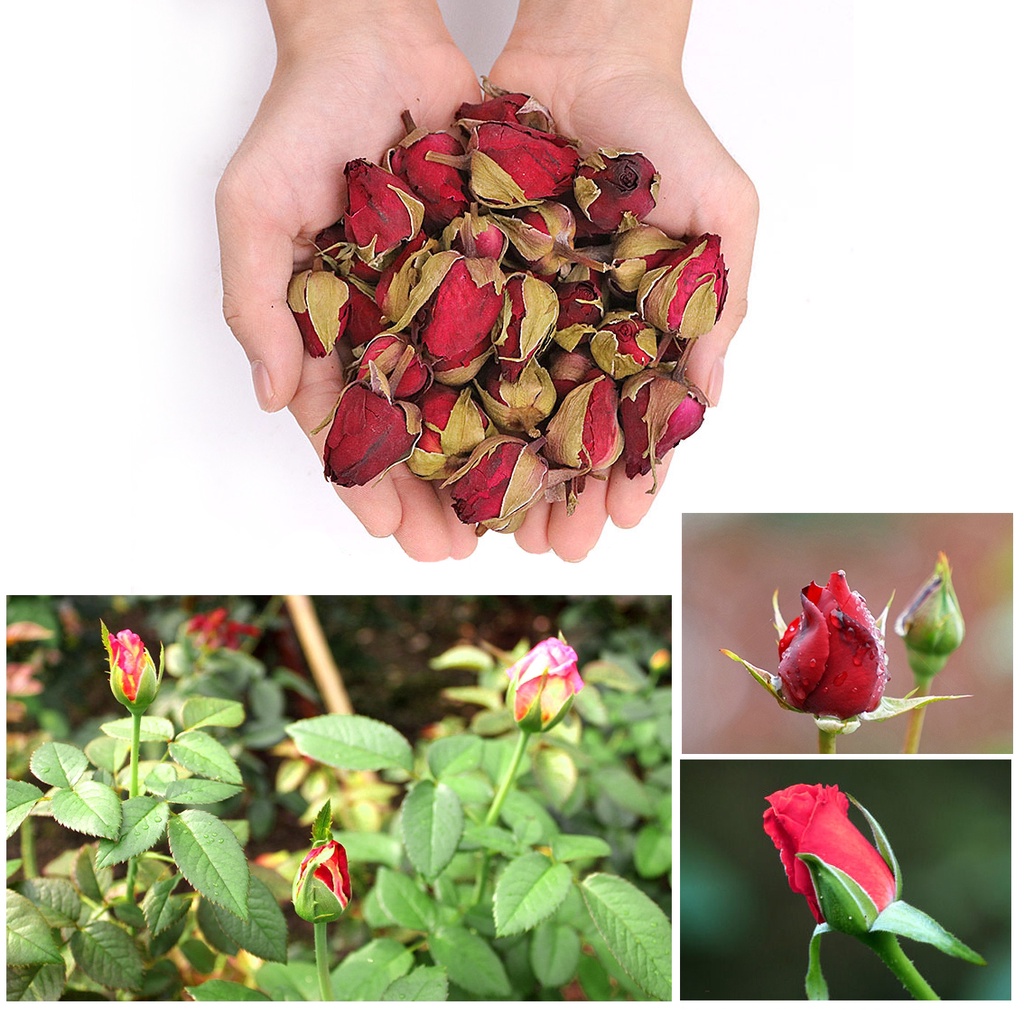 Trà Hoa Hồng Pháp Nguyên Bông Sấy Khô Hỗ Trợ Làm Đẹp Da
