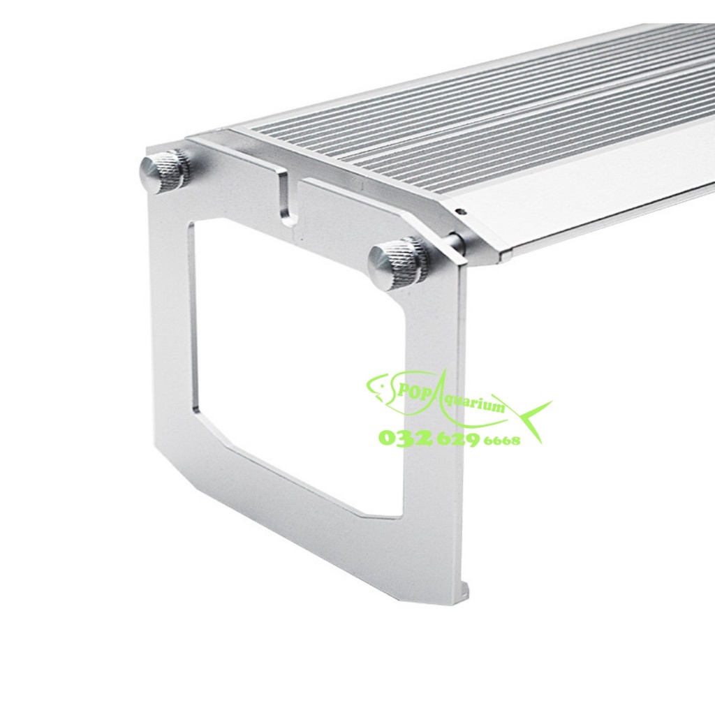 Đèn Week Raptor WRGB M-seri bản mới nhất năm 2021