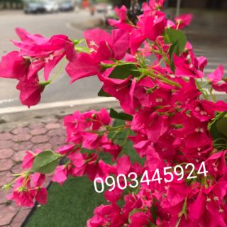 Cành Hoa Giấy cao 1m2 Cao cấp- Hoa giả