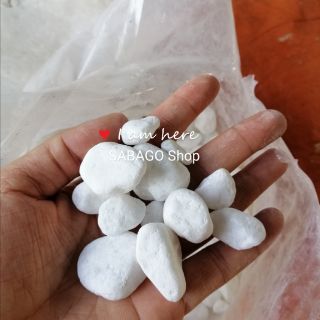 Combo chậu nhựa, đĩa và đá
