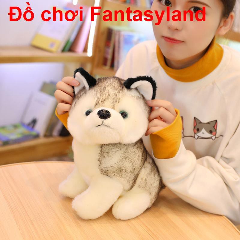 Dễ thương mô phỏng husky búp bê sang trọng đồ chơi chó con Erha nhỏ món quà sinh nhật cô gái