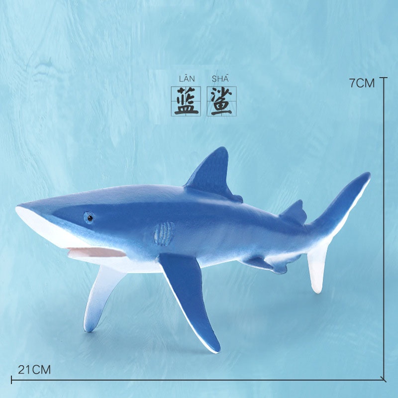 Mô Hình Cá Heo beluga killer / Cá Mập Trắng Bằng Nhựa Độc Đáo Trang Trí Cho Bé