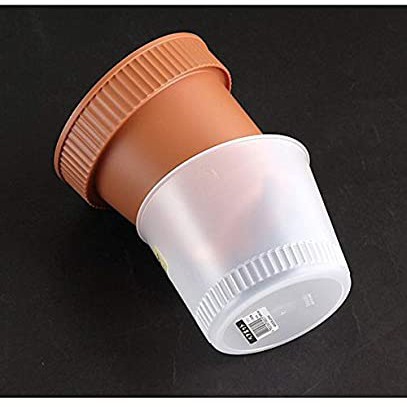 [Hỏa Tốc HN] Chậu trồng cây 2 lớp màu nâu NỘI ĐỊA NHẬT BẢN