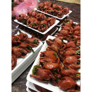 KHAY 10 CHIM CÚT NHỎ