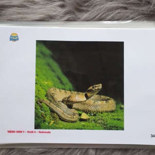 flashcard Tiếng Anh 1 - i learn smart start 1
