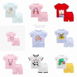 Combo 5 bộ cotton giấy quảng châu xịn đẹp