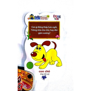 Sách - Gấu Con Thông Minh (NHIỀU CHỦ ĐỀ)