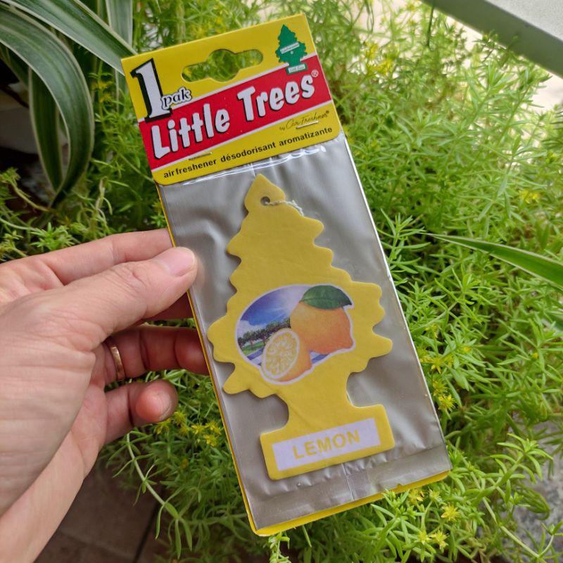 Cây thông thơm litte trees treo ô tô phòng ngủ