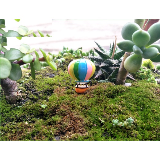 ❤❤Khinh Khí Cầu Nhiều Màu❤❤ Phụ Kiện Trang Trí Tiểu Cảnh Sen Đá, Terrarium, Decord Mô Hình, Nhà Búp Bê