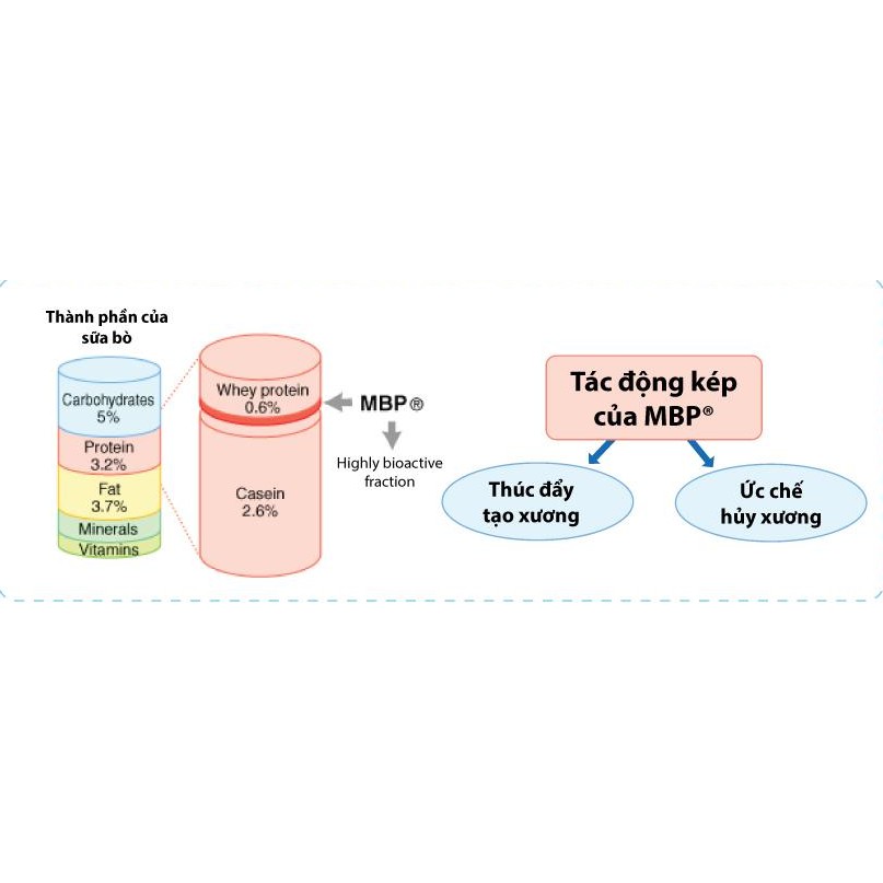 Thực phẩm bổ sung Guun Up MBP® Tăng chiều cao của Nhật ( Vị Ca Cao, Dâu Sữa) 300G/gói | BigBuy360 - bigbuy360.vn
