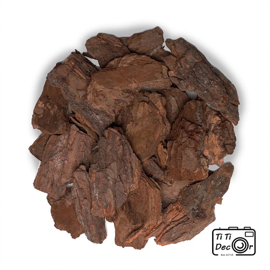 Vỏ Thông Khô TiTi Decor Chụp Ảnh Sản Phẩm Phong Cách Mộc, Vintage Cổ Điển