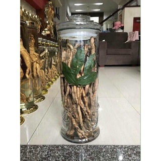 1kg Sâm xuyên đá Hà Giang