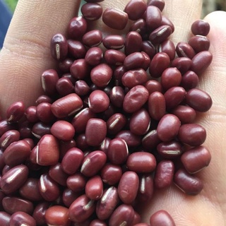 500gram đậu đỏ hạt nhỏ nhà trồng