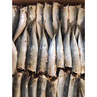 1kg Cá nục nhạt ngon