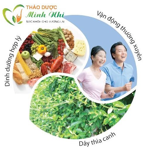 Cao Tiểu Đường Dây Thìa Canh Chuẩn Sạch - Hàng CTy