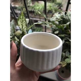 CHẬU SỨ BÁT TRÀNG MINI DECOR SIÊU XINH