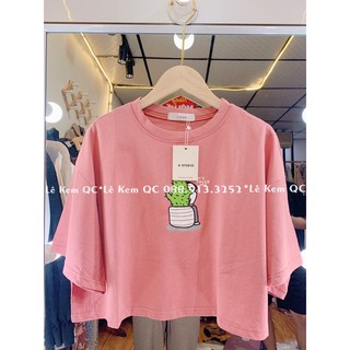 Áo Phông Croptop Chất Dày Mịn