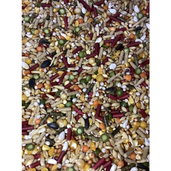 Ngũ Cốc Gà dành cho chiến kê 5kg 125k