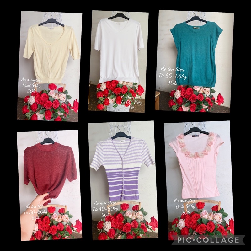 Áo len mongtegi kiểu