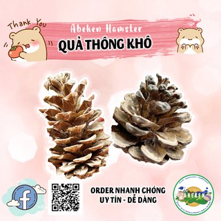 Quả thông khô trang trí