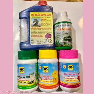 COMBO-5 LỌ PHÂN BÓN,CHẾ PHẨM,THUỐC PHÒNG TRỊ NẤM,VI RÚT,VI KHUẨN CHO LAN VÀ CÂY CẢNH