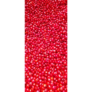 1kg Hạt cẩm lai đỏ